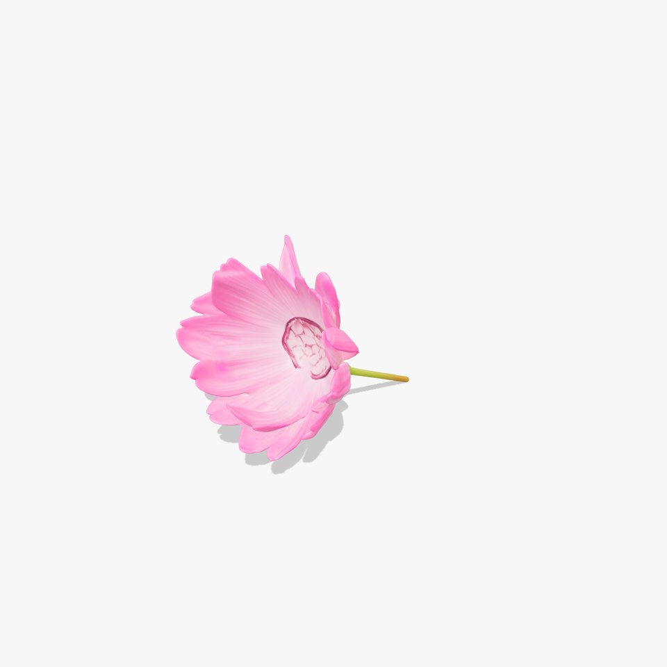 Pink Petal Blossom model pack